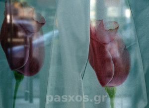 Κουρτίνα με ύφασμα Βουάλ (κουρτίνα σκίασης με πολύχρωμο σχέδιο, τουλίπα)