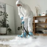 Πώς να αφαιρέσετε λεκέδες από το χαλί - καθαρισμός χαλιών από ειδικούς.