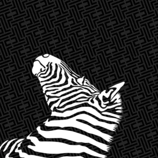 Πετσέτα Θαλάσσης Printed 07 - Feel and Touch
